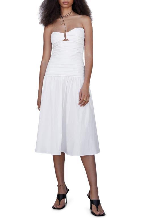 MANGO Strapless Cotton Blend Midi Dress Product Image