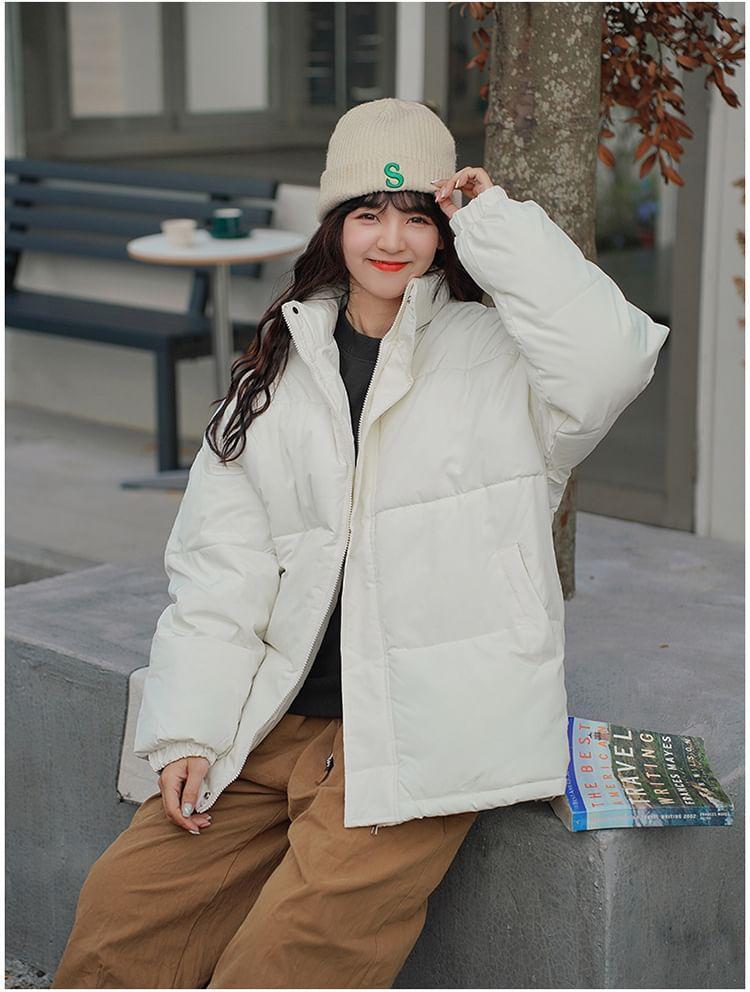 Stand Collar Plain Zip-Up Puffer Jacket Product Image