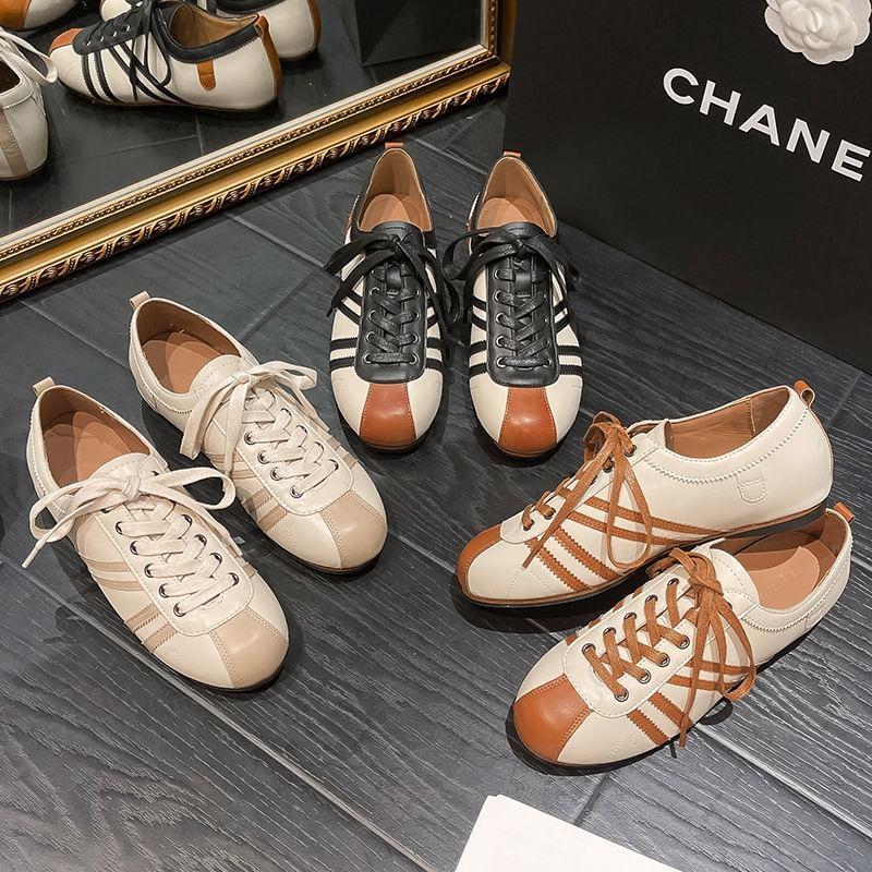 Color-Block Lace Up Sneakers product image