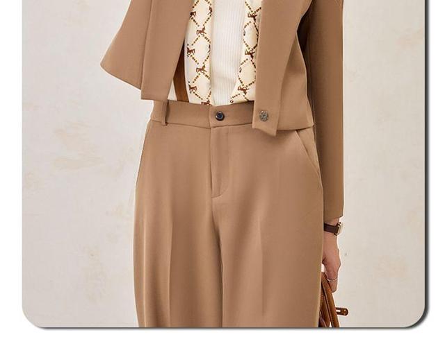 Notch Lapel Plain Single Breasted Blazer / High Rise Wide Leg Slacks / Set Product Image