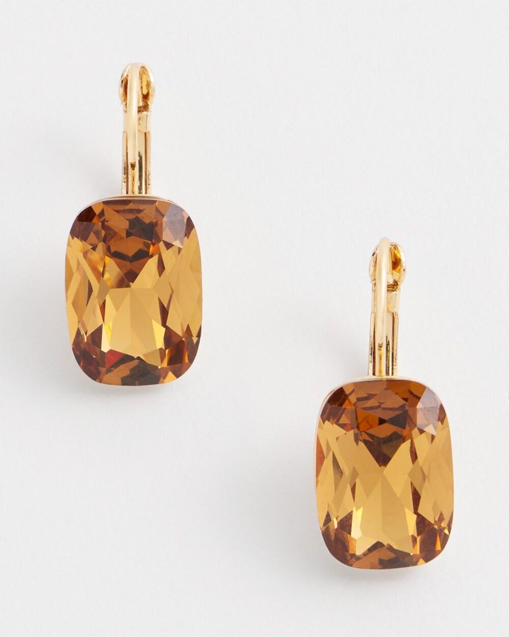 No Droop™ Gold Tone Stone Earrings Product Image