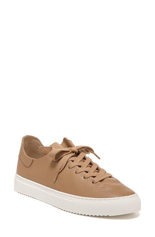 Sam Edelman Poppy Sneaker Product Image