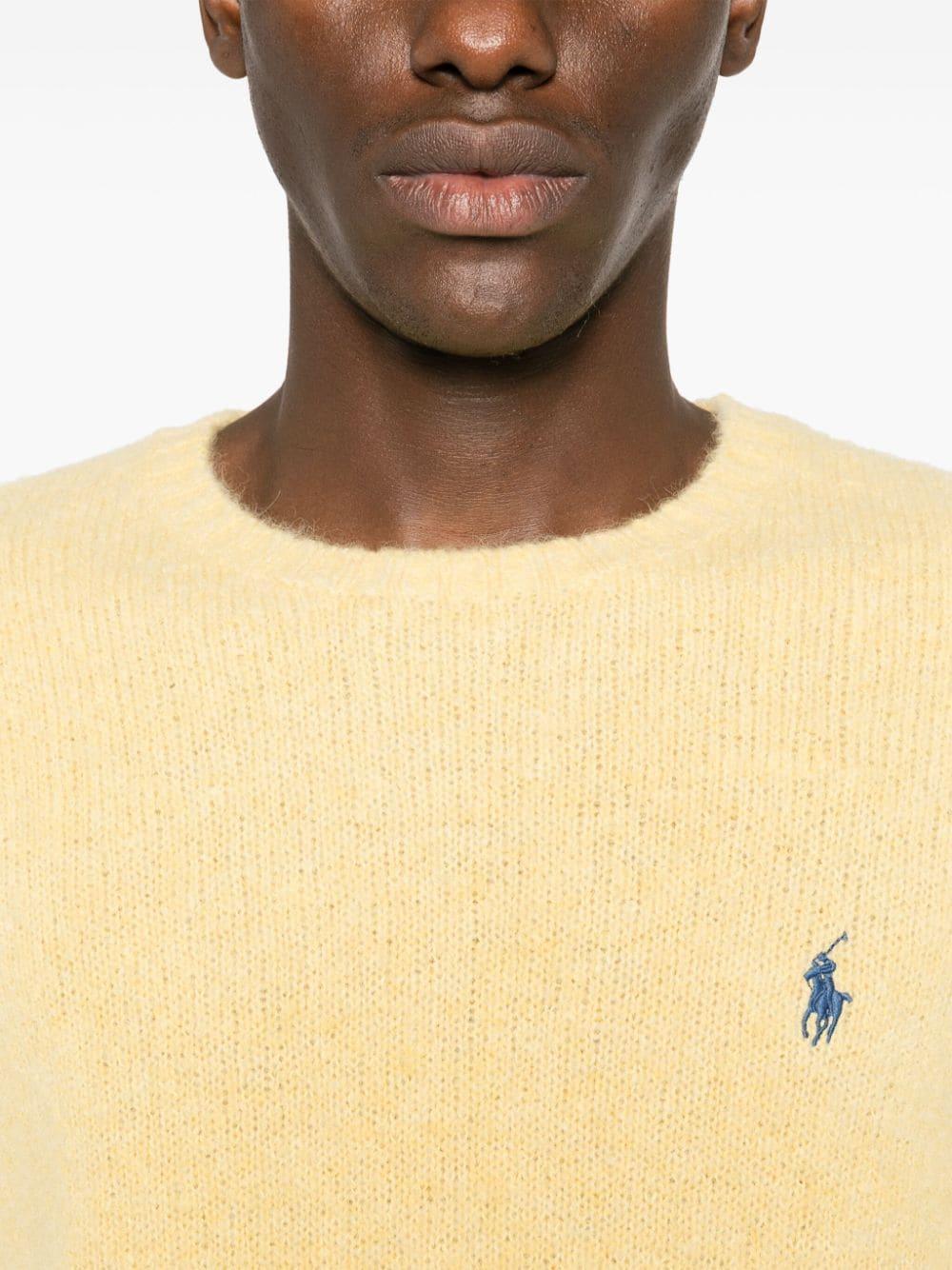 Polo Pony-embroidered Sweater In Yellow Product Image