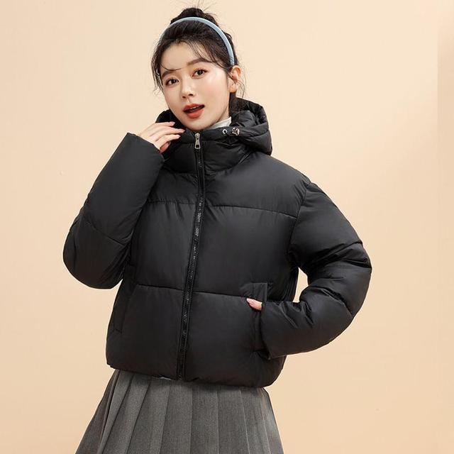 Hooded Zip-Up Puffer Jacket Product Image