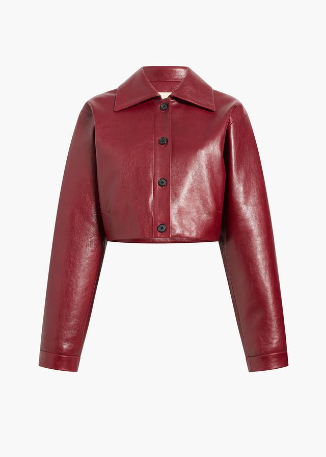 Sue Jacket in Oxblood Leather Product Image