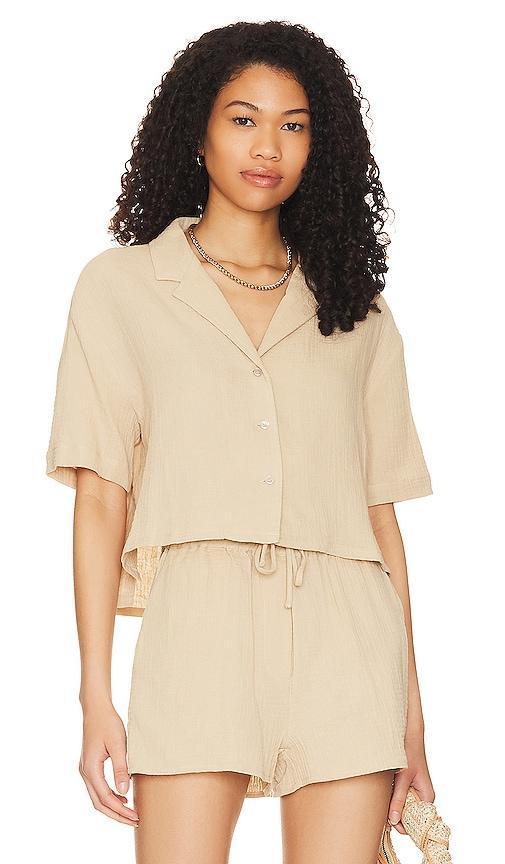 Steve Madden Paloma Top (Ivory) Women's Clothing Product Image