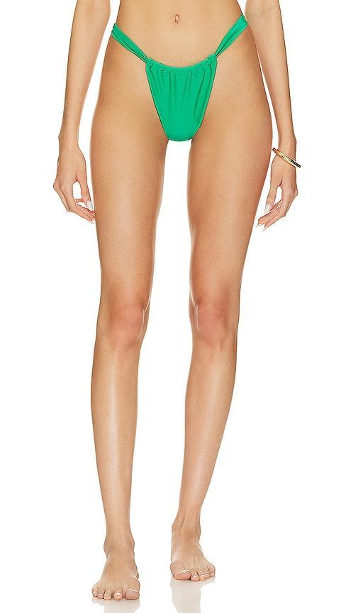 Frida Bikini Bottoms Product Image