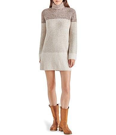 Steve Madden Meghan Colorblock Long Sleeve Turtleneck Sweater Dress Product Image