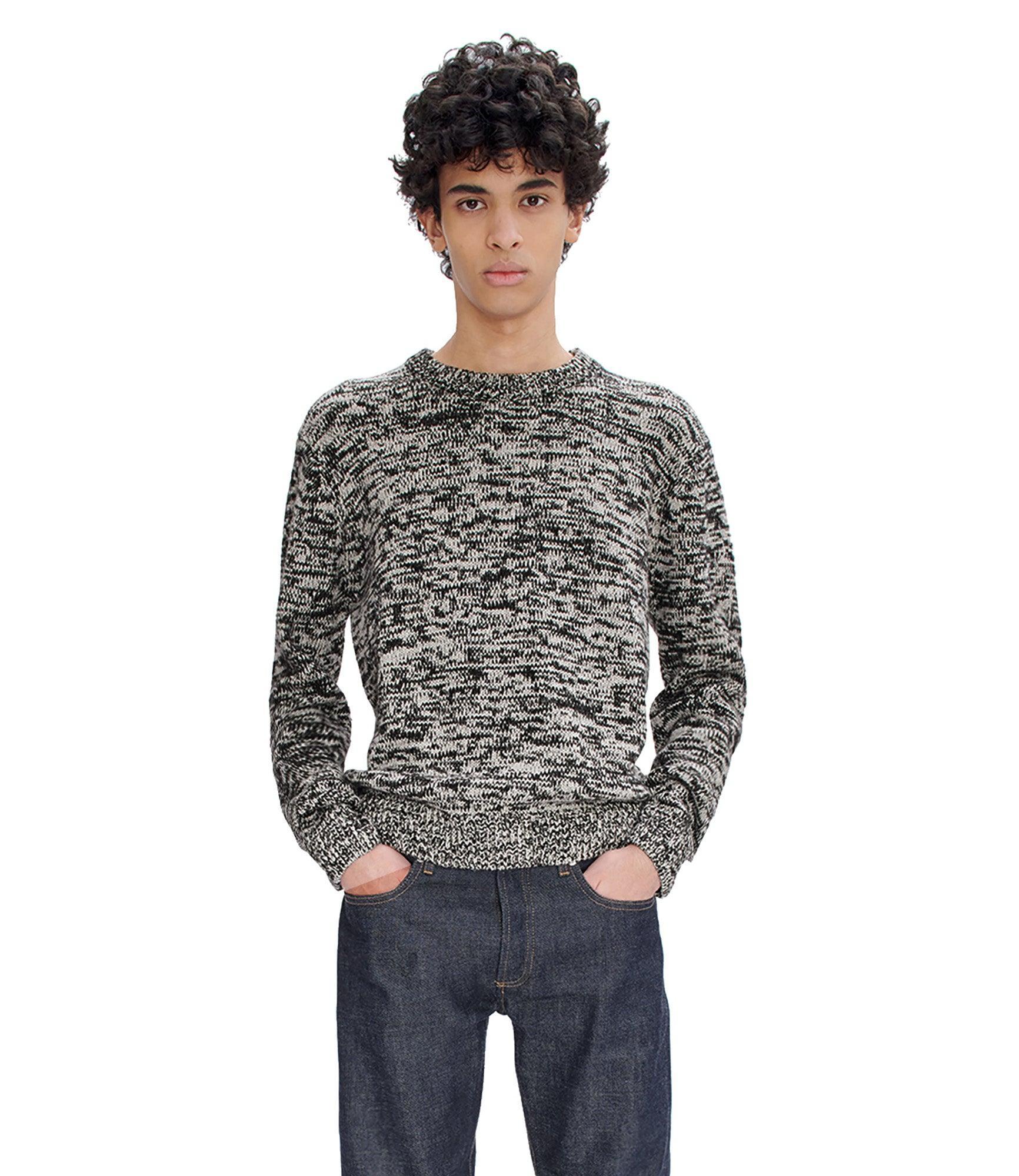 Alec sweater Male Product Image