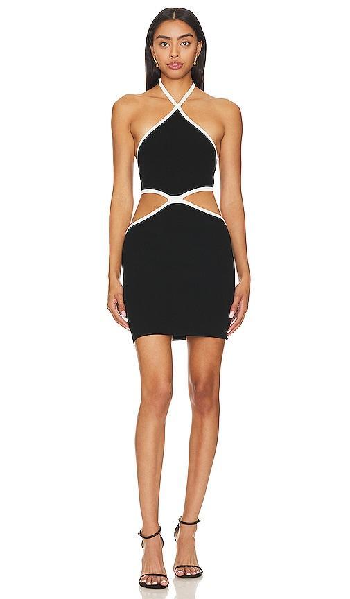 Contrast Trim Halter Mini Dress Product Image