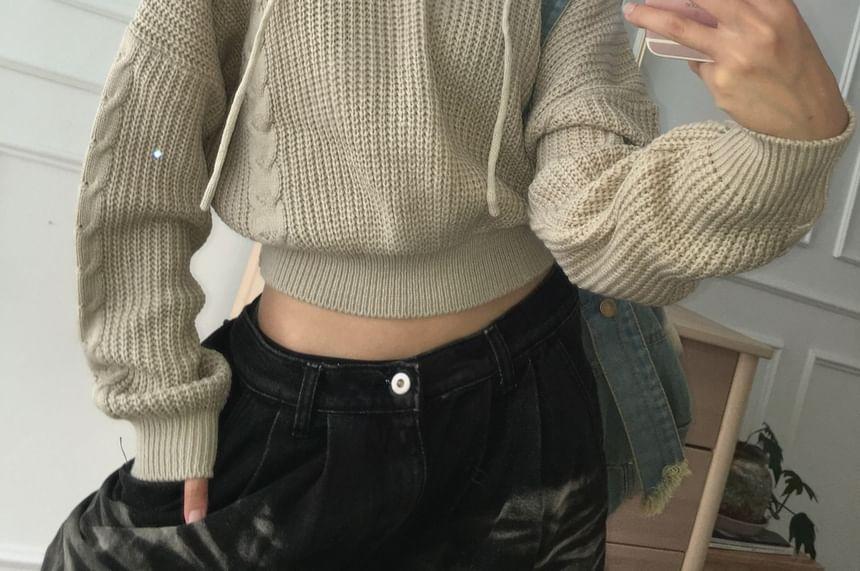 Plain Crop Hooded Sweater Product Image