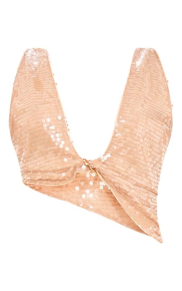 Nude Sequin Sleeve Plunge Metal Detail Bralet Product Image