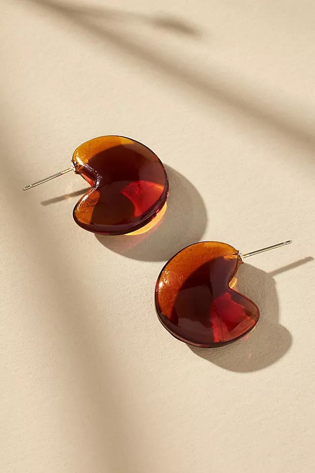 Curved Lucite Earrings Product Image