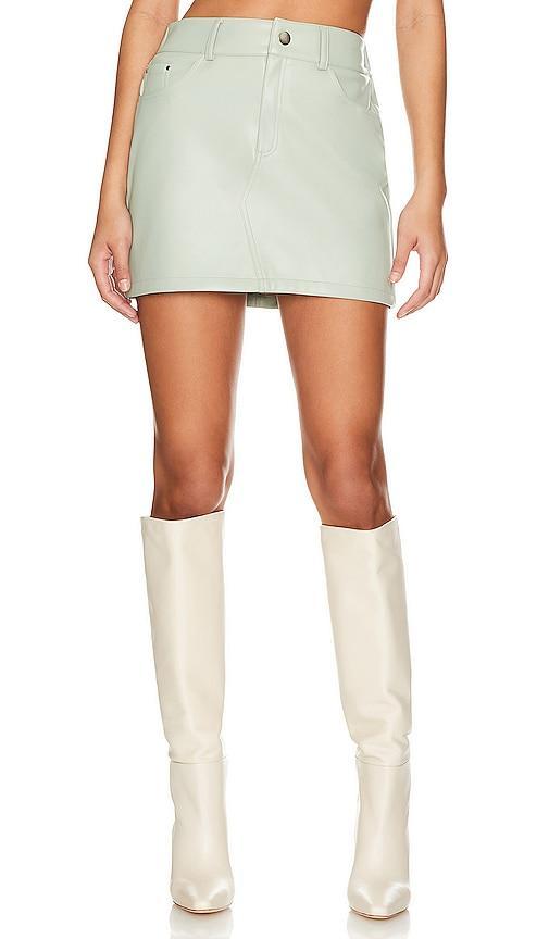 Devon Mini Skirt Product Image