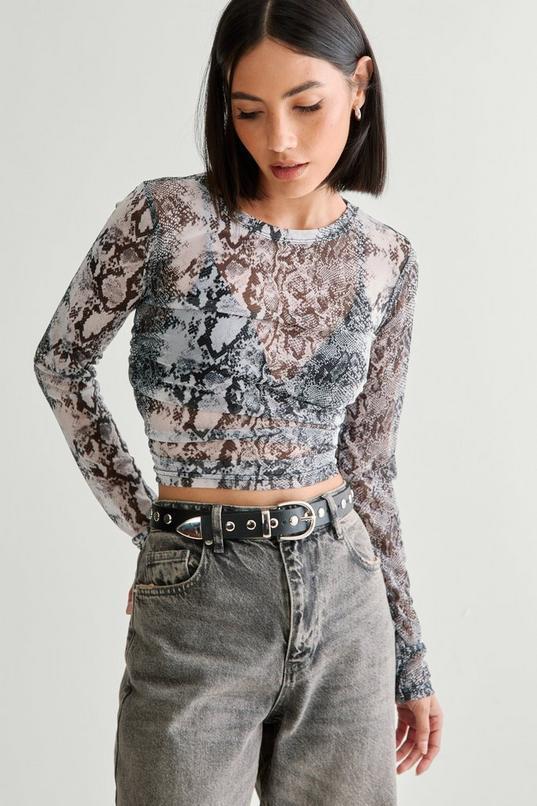 Mesh Animal Print Long Sleeved Top Product Image