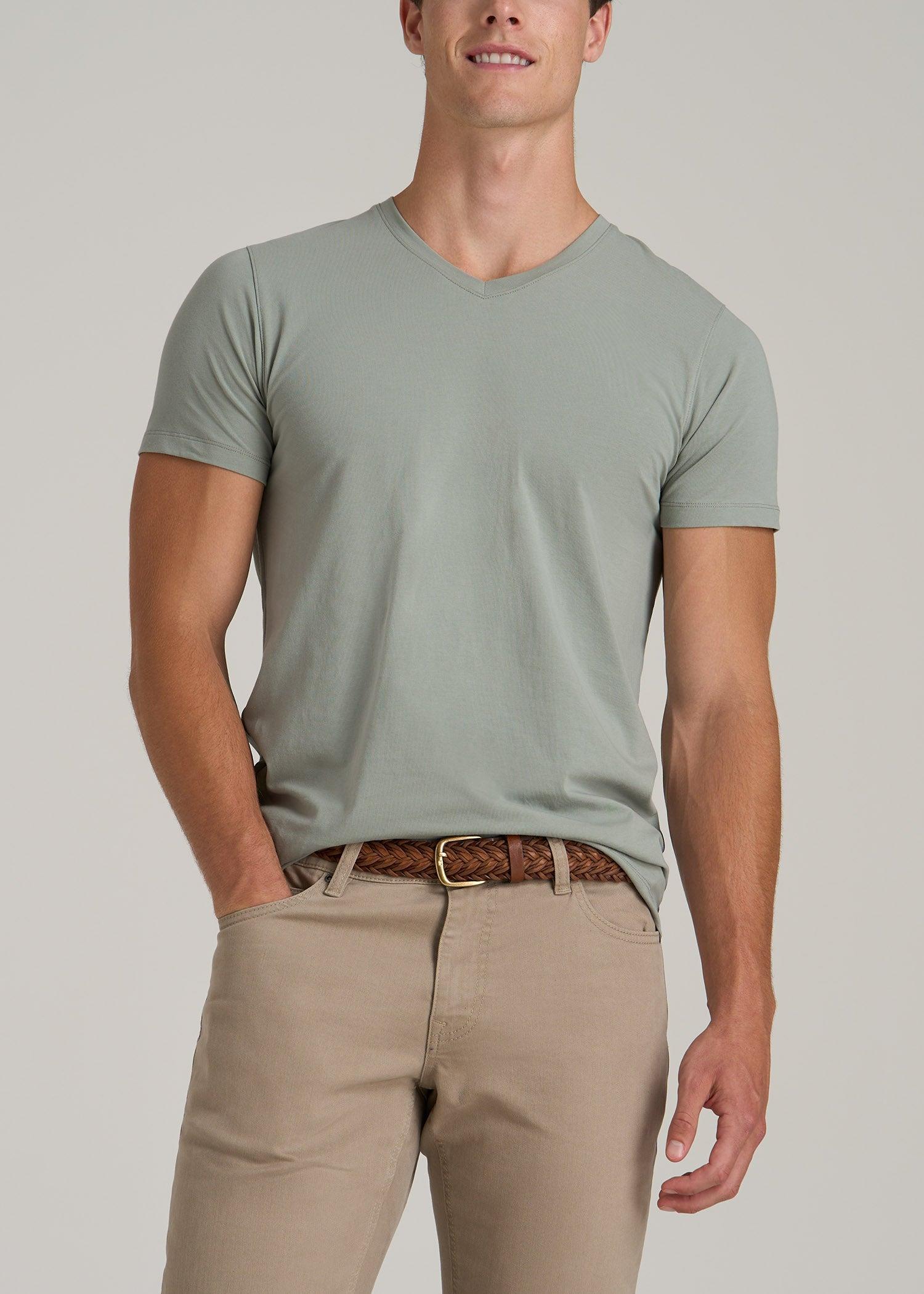 Stretch Cotton MODERN-FIT V-Neck T-Shirt for Tall Men in Seagrass Male Product Image