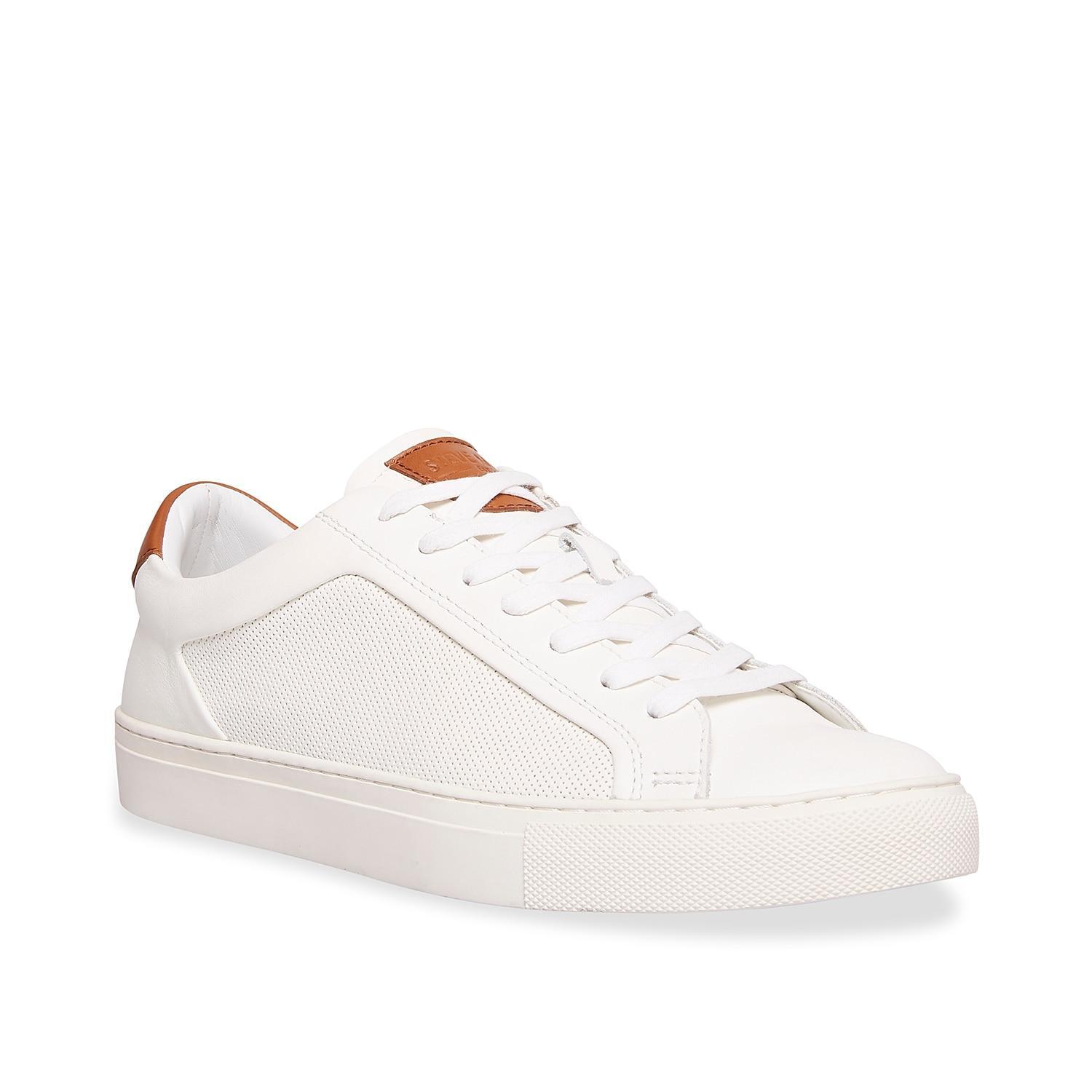 Steve Madden Finneas Sneaker Product Image