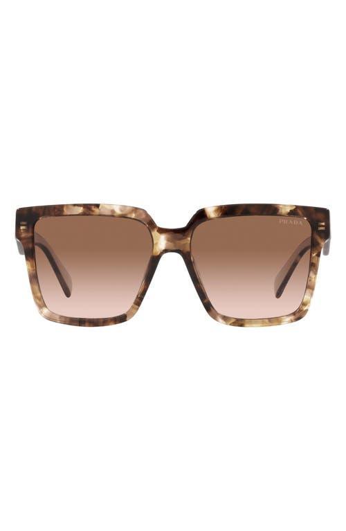 Prada Square Sunglasses, 56mm Product Image