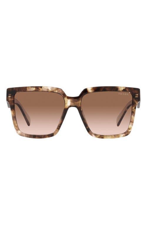 Prada 56mm Square Sunglasses Product Image