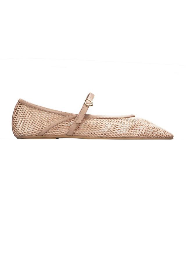 Marta Mesh Ballet Flat Product Image