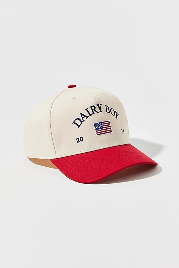 Dairy Boy Americana Snapback Baseball Hat Womens at Urban Outfitters Product Image