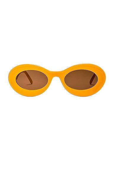 Womens LOEWE x Paulas Ibiza 50MM Oval Sunglasses Product Image