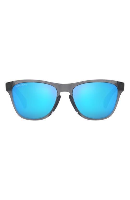 Oakley Frogskins 48mm Small Square Sunglasses Product Image