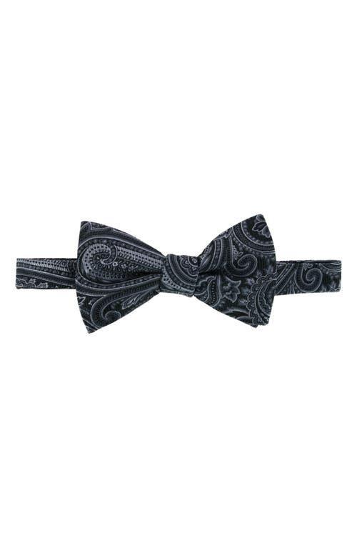 Trafalgar Mens Sobee Paisley Silk Bow Tie Product Image