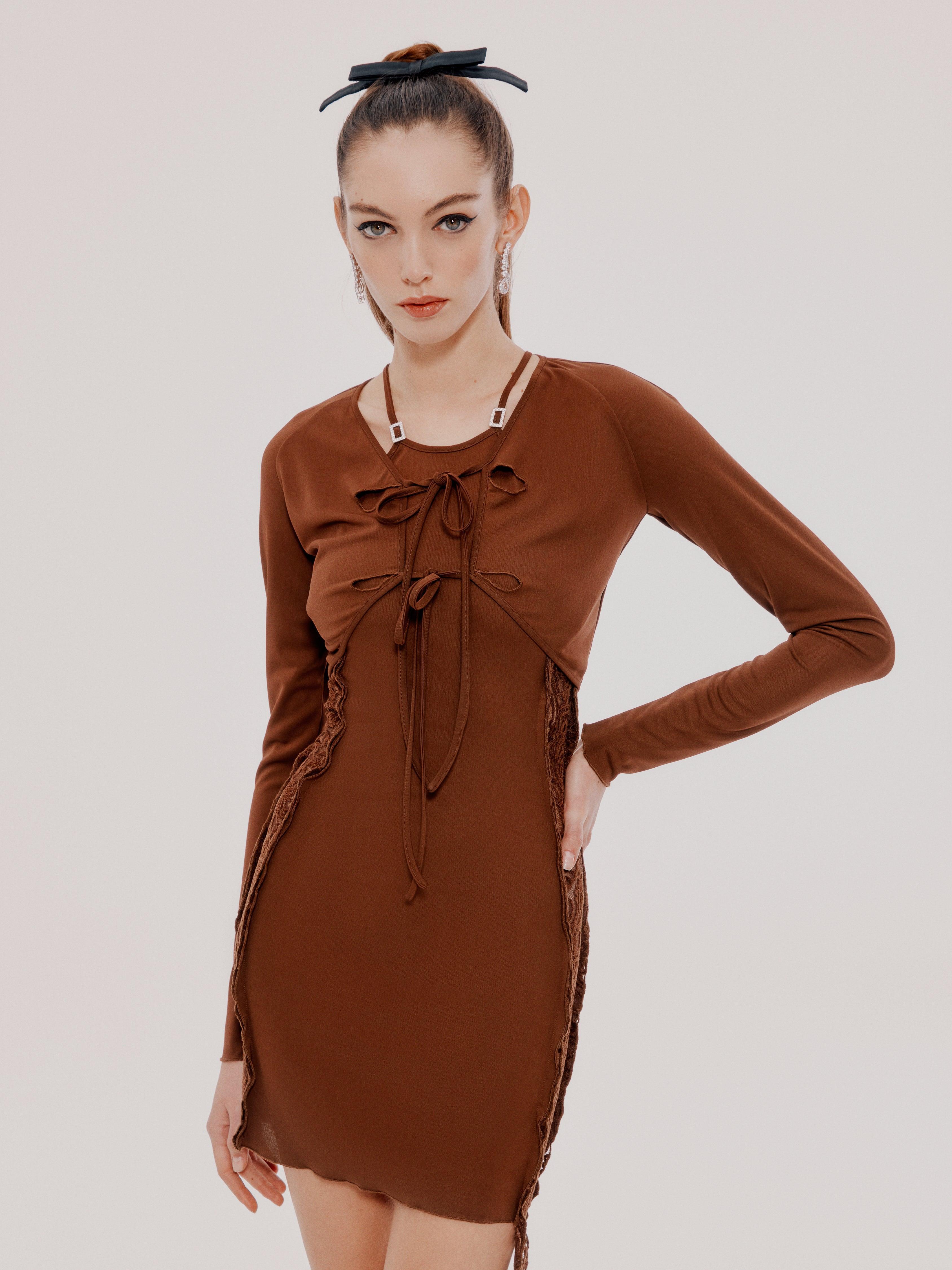 Brown Sade Dress (Final Sale) Product Image