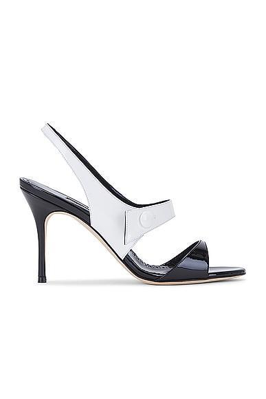 Manolo Blahnik Climnetra 90 Patent Sandal in Black,White Product Image