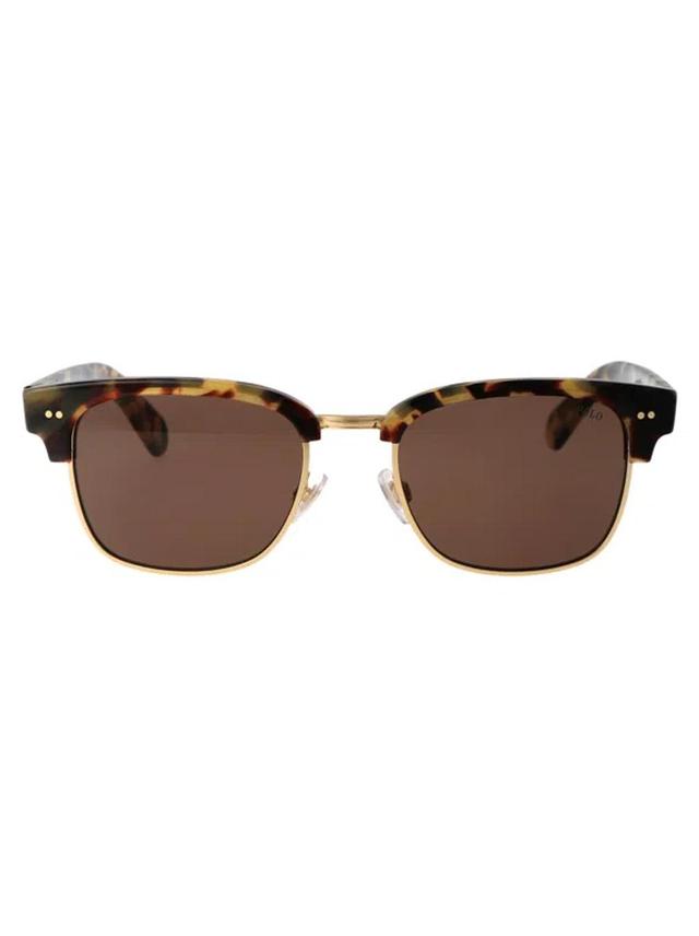 Sunglasses 0 Ph4202 608773 In Brown Product Image