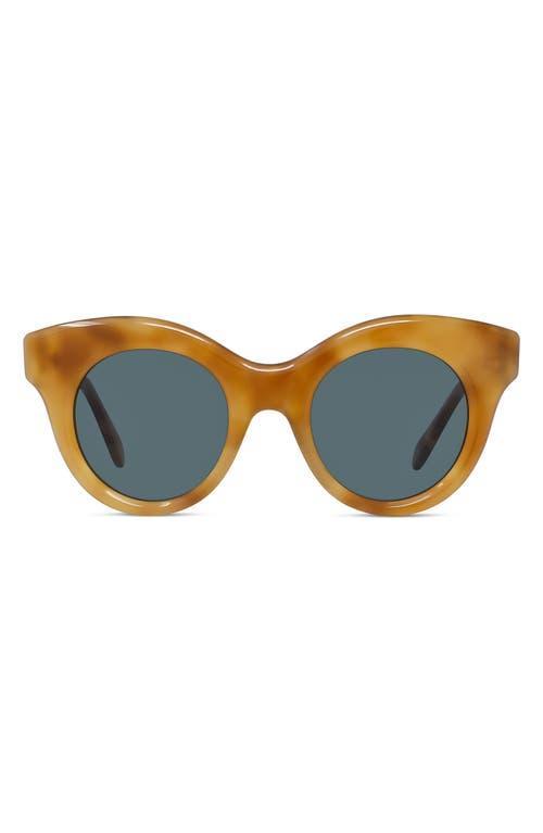 Loewe Curvy 49mm Small Round Sunglasses Product Image