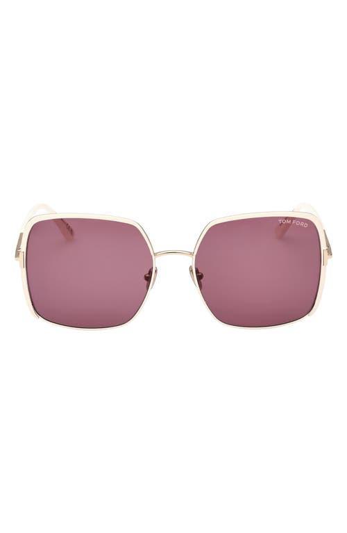 TOM FORD Raphaela 60mm Butterfly Sunglasses Product Image