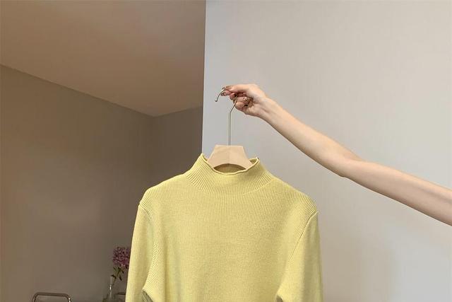 Mock Neck Plain Ribbed Sweater Product Image