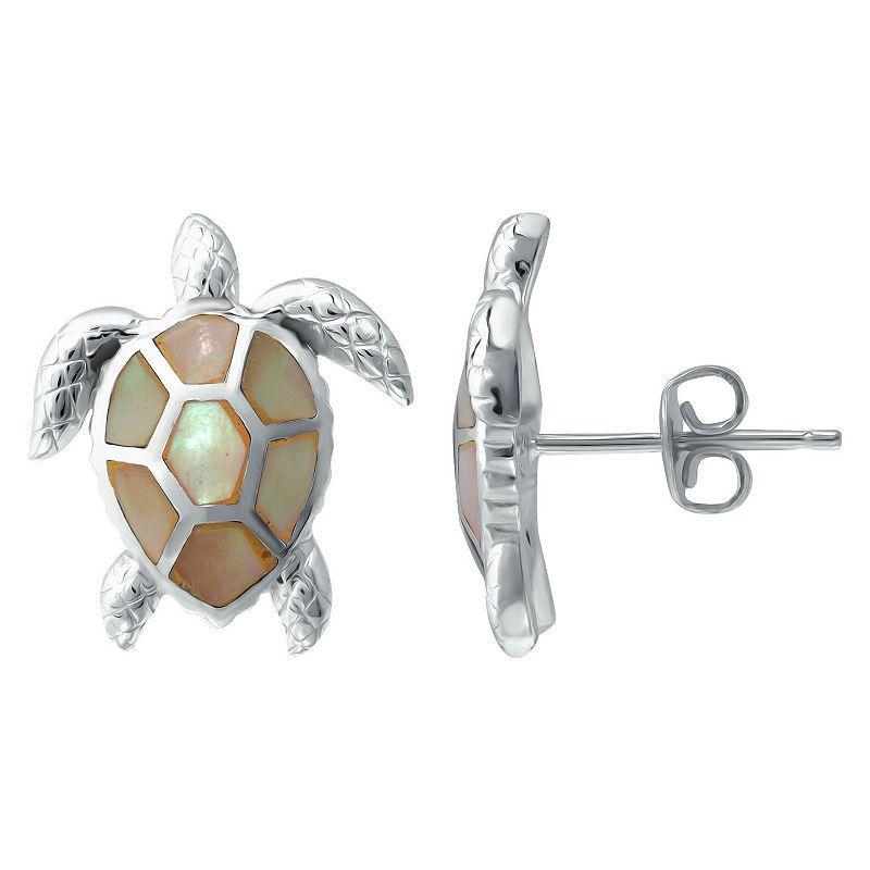 Macys Abalone Inlay Turtle Stud Post Earrings Product Image