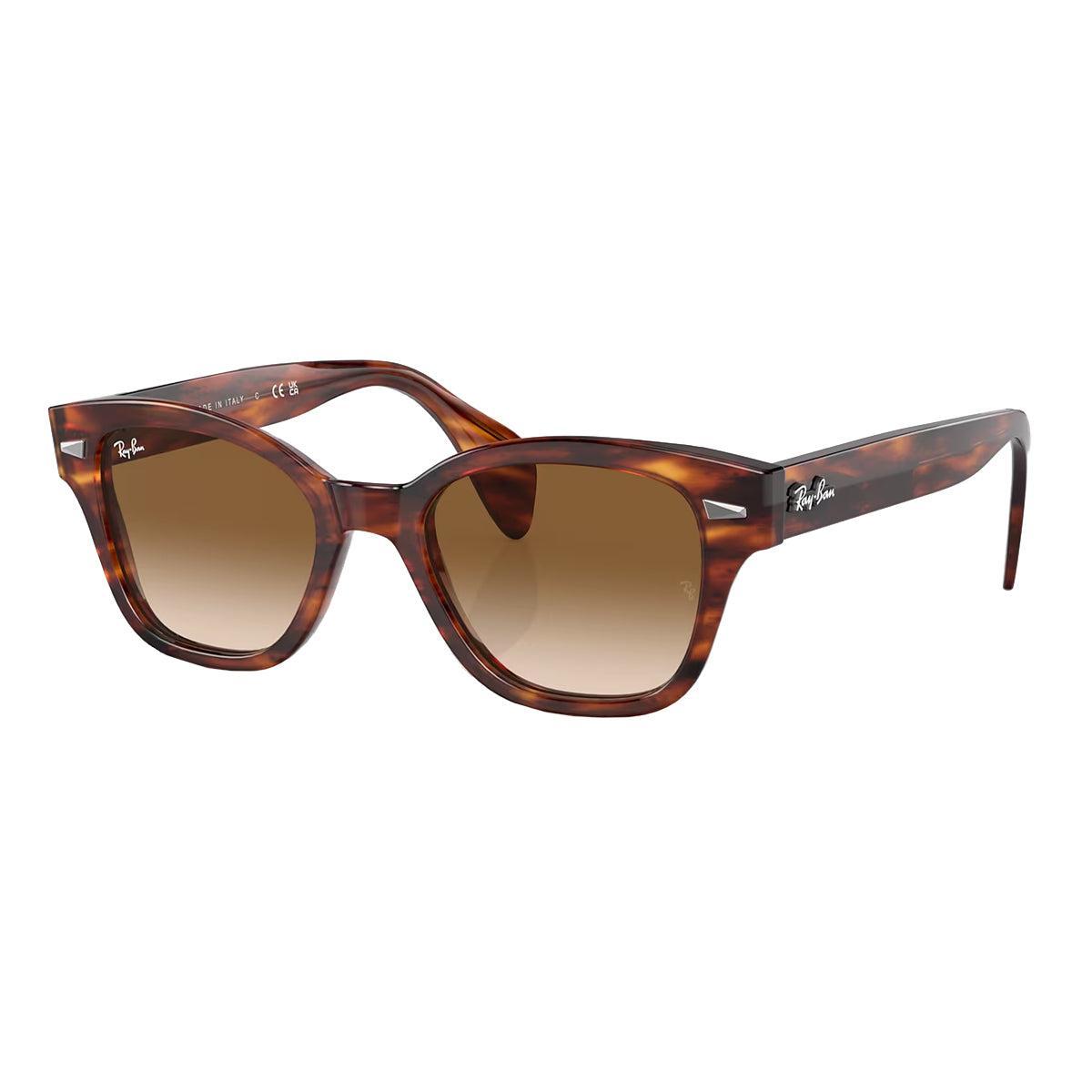 Ray-Ban 0RB0880S Sunglasses Product Image