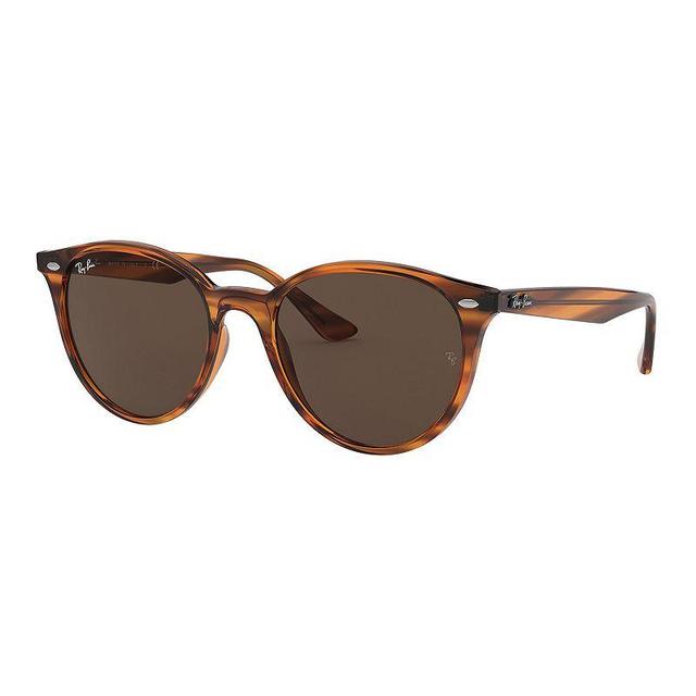 Ray-Ban Rb4305 Sunglasses Frame Brown Lenses Polarized Product Image