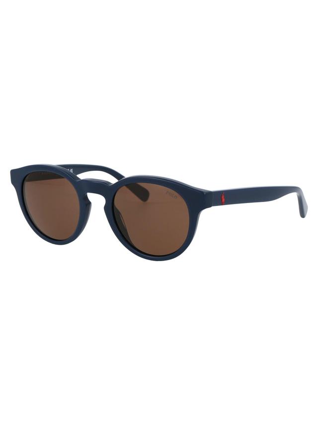 Sunglasses 0 Ph4184 562073 In Brown Product Image