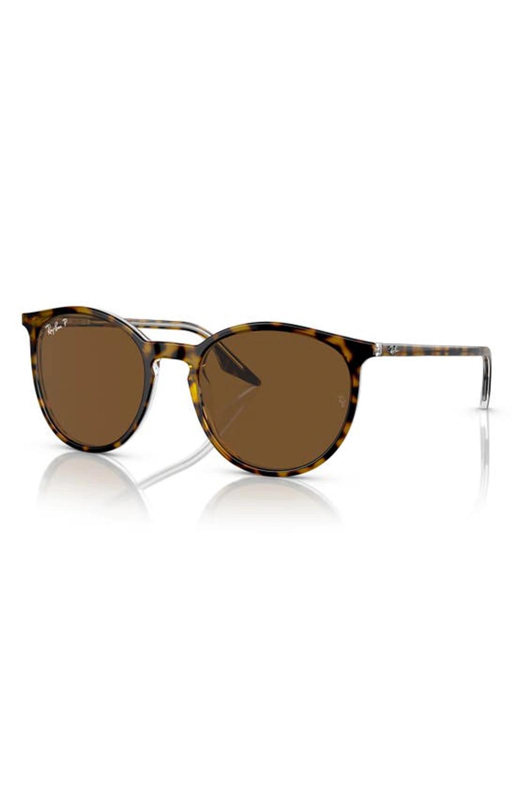 RAY BAN 51mm Polarized Phantos Sunglasses In Havana Product Image