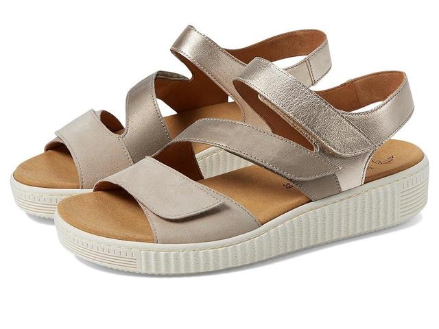 Gabor Gabor 43.600 (Desertkombi) Women's Shoes Product Image