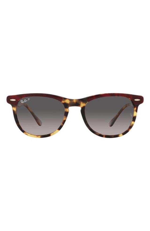 RAY BAN 56mm Gradient Polarized Square Sunglasses In Bordeaux Product Image