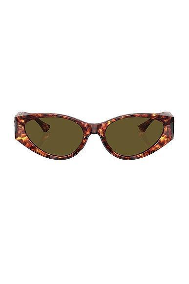 VERSACE Oval Sunglasses in Brown Product Image