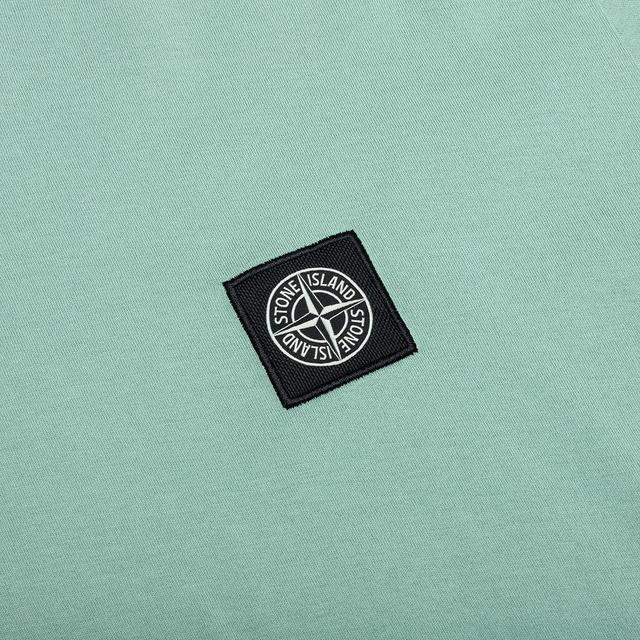 S/S T-Shirt - Sage Green Male Product Image