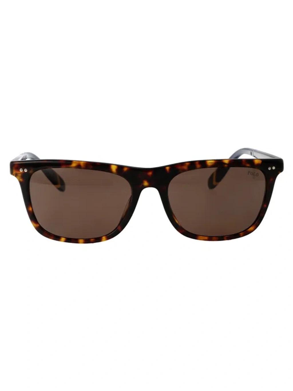 POLO RALPH LAUREN 0ph4205u Sunglasses In 500373 Shiny Dark Havana Product Image