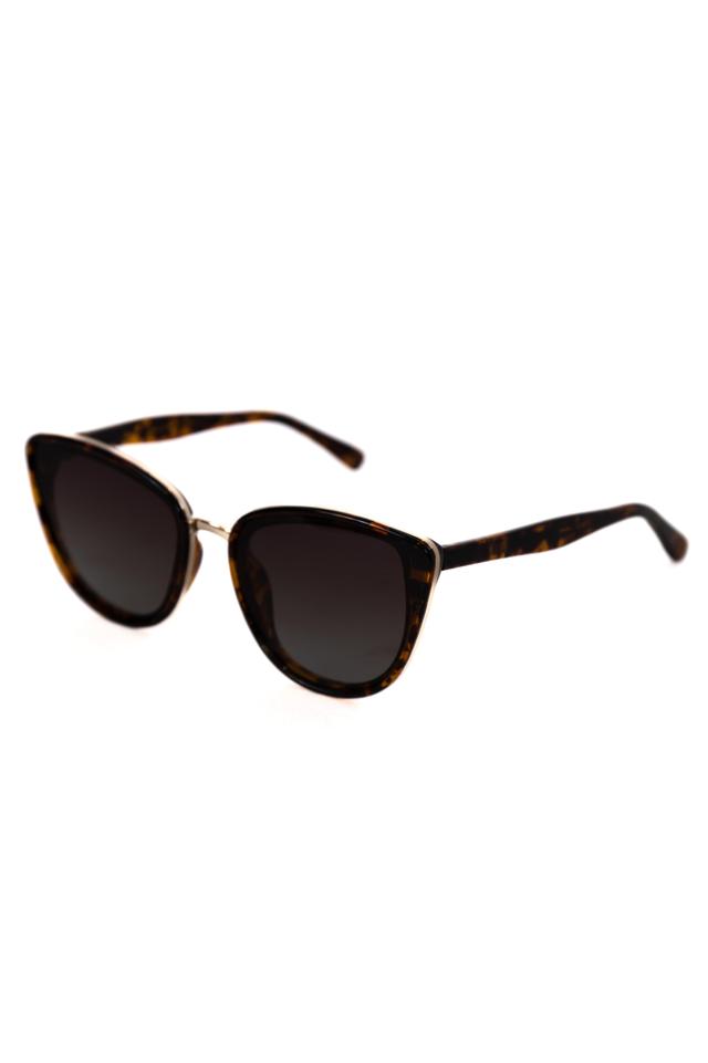 Aria Brown Tortoise Sunglasses Product Image