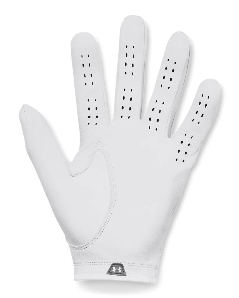 Men's UA Drive Tour Glove Product Image