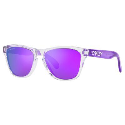 Oakley Frogskins 48mm Small Square Sunglasses Product Image