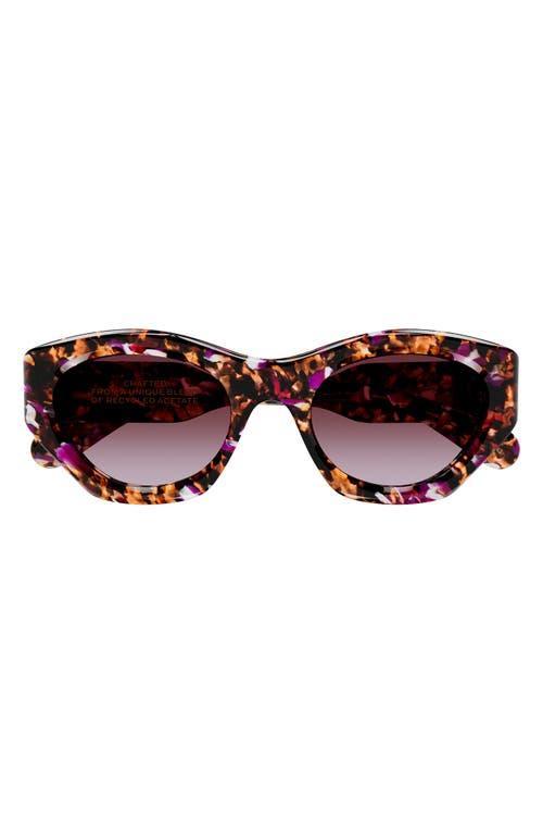 Chlo 53mm Gradient Cat Eye Sunglasses Product Image