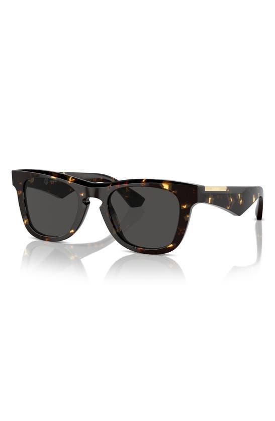 50mm Square Sunglasses In Dark Havana Product Image