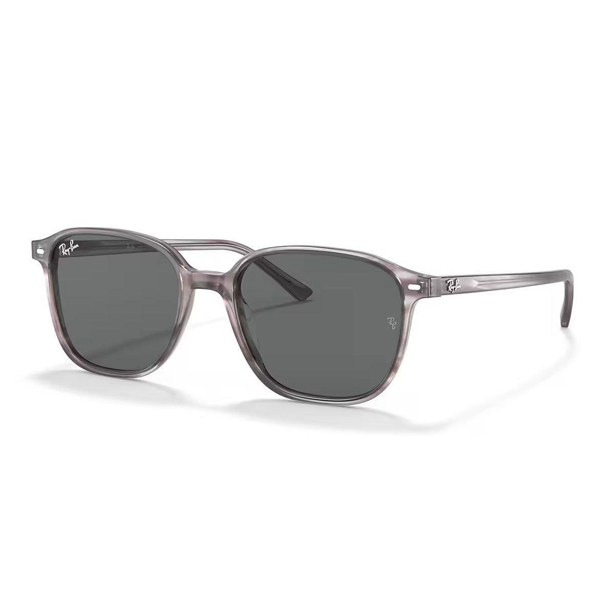 Ray-Ban Leonard Sunglasses Product Image